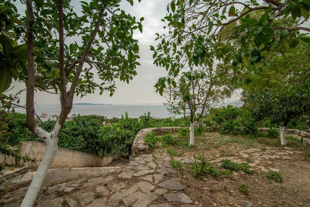 Cretan Biosuites Palaiokastro  Экстерьер фото